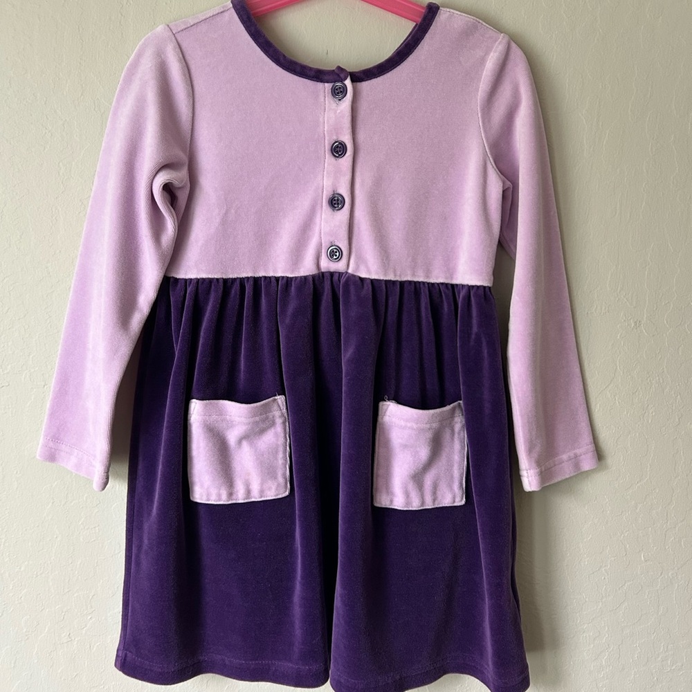 Hanna Andersson Velvet Color Block Purple Dress